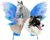 elevage des jolies fees